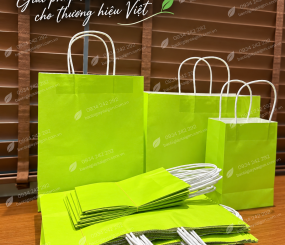 Túi giấy kraft màu xanh chuối